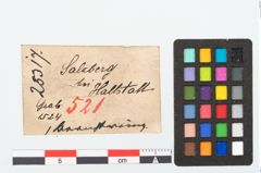 Etikett zu Bernsteinringperle (NHMW-PRAE-025317)
